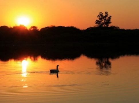 Outubro chega com intensa onda de calor que deve se estender por mais dez dias em MS