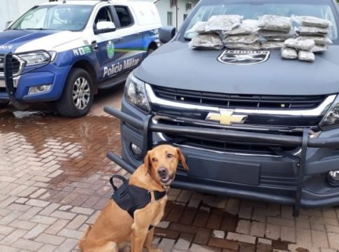 Desconfiado, motorista de guincho chama polícia e maconha é encontrada dentro de carro