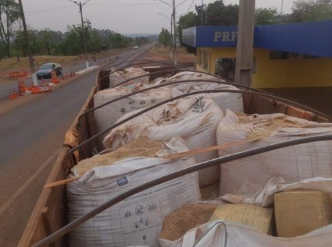 Traficante é preso com mais de 3 toneladas de maconha em fardos de ração