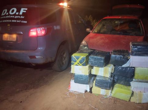 Dois são presos com mais de 300 kg de maconha em matagal