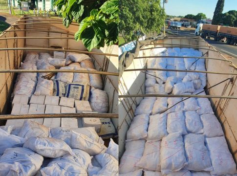 Polícia apreende 12,8 toneladas de agrotóxicos avaliados em mais de R$ 5 milhões