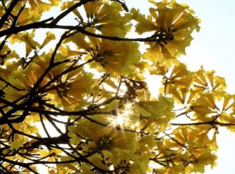 Sol aparece e temperaturas sobem em grande parte do Estado