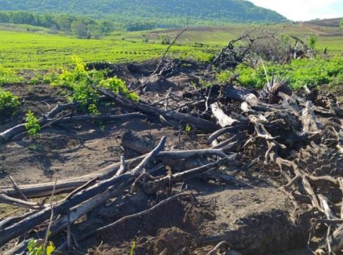 Polícia flagra crime ambiental e três estão foragidos de fazenda que escravizava crianças em MS