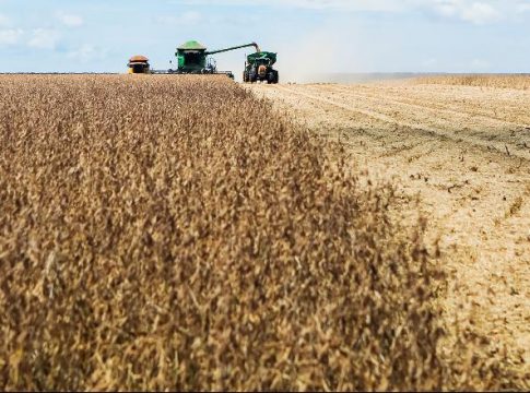 Mato Grosso do Sul registra recorde no agronegócio em 2020