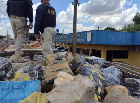 Carga com 29,2 toneladas de maconha é a maior apreensão da história da PRF