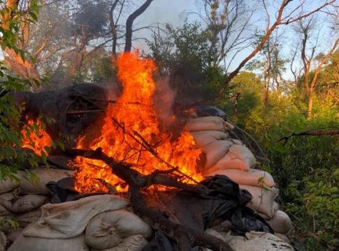 Ação na fronteira de MS fecha depósito com maconha avaliada em de 7,5 milhões de dólares