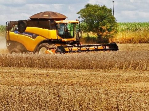 Com quase 10% colhida e ajuste para menor na área, safra da soja deve ultrapassar 11,2 milhões de toneladas
