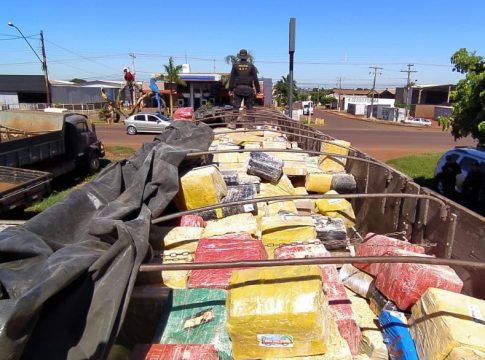 DOF faz a maior apreensão de drogas do ano durante a Operação Hórus
