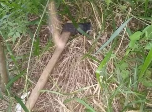 Por tatuagem, corpo sem cabeça é identificado e polícia tem suspeitos para assassinato