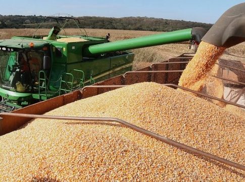 Superávit da balança comercial de MS no 1º bimestre de 2021 fecha em US$ 175 milhões