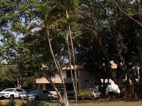 Minutas-padrão sobre correlatos e aquisição de medicamentos são publicadas no DOE