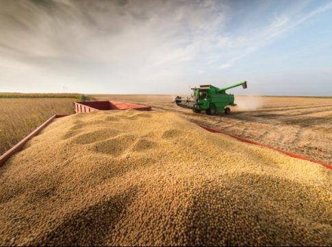 Produção de grãos bate recorde de 273 milhões de toneladas