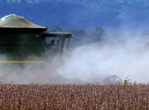 Com crescimento de 17,8%, MS colhe supersafra de soja