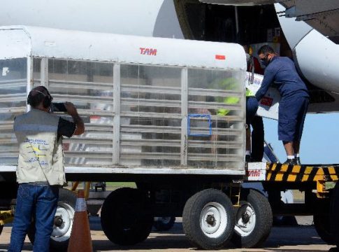 Mais de 14 mil doses da Pfizer pousam em Campo Grande nesta segunda