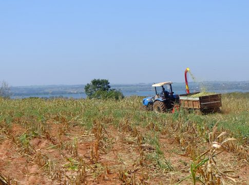 Agricultura utiliza nova colhedora de silagem nesta segunda-feira