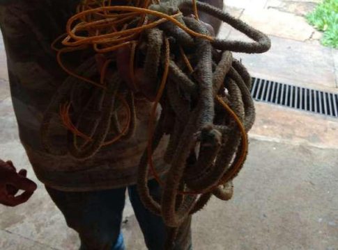 Ao abrir portão, rapaz leva coronhadas e é amarrado por bandidos em Campo Grande