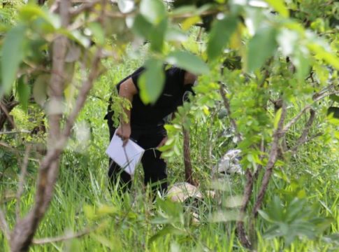 Pedestre é atropelado por caminhonete, arremessado e corpo encontrado 1h depois em matagal