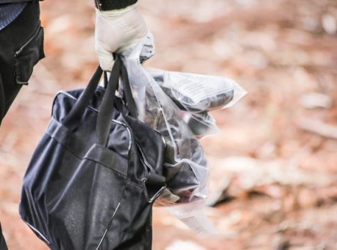 Segunda ossada humana encontrada em menos de uma semana pode ter sido desovada