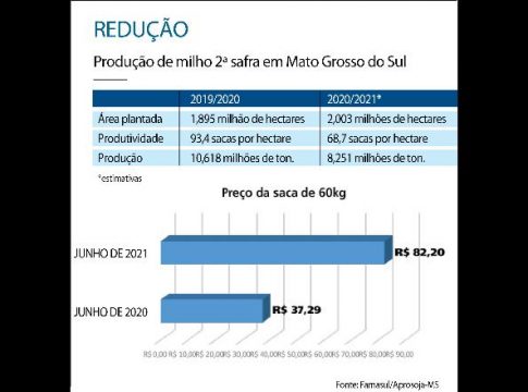 Colheita do milho deve ser menor do que no ano passado em Mato Grosso do Sul