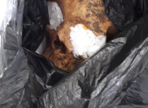 Boliviano que saiu de Campo Grande é preso em SP com crânio humano na bagagem