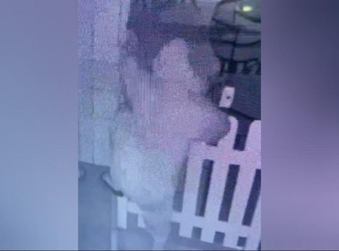 Em 1 minuto, ladrão arromba doceria em Campo Grande e leva de iPhone a bolos gelados