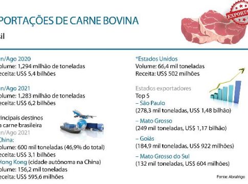 Embargo chinês derruba o preço do boi, mas não o da carne