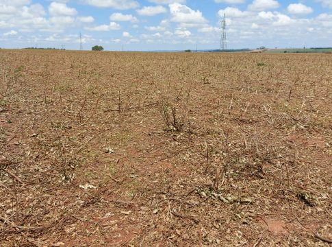 Tempestade de granizo deixa rastro de destruição em Eldorado