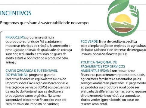 Mercado pode “punir” produtor que degrada o meio ambiente