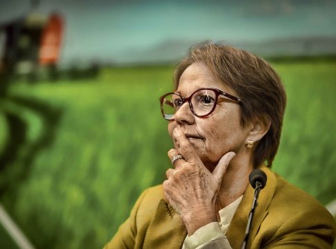 Tereza Cristina diz que Brasil deve erradicar desmatamento antes de 2030