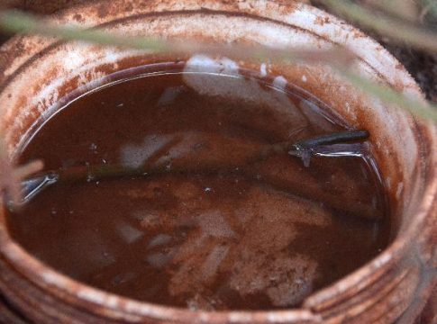 Casos de dengue em Mato Grosso do Sul têm queda de 78,4% em 2021