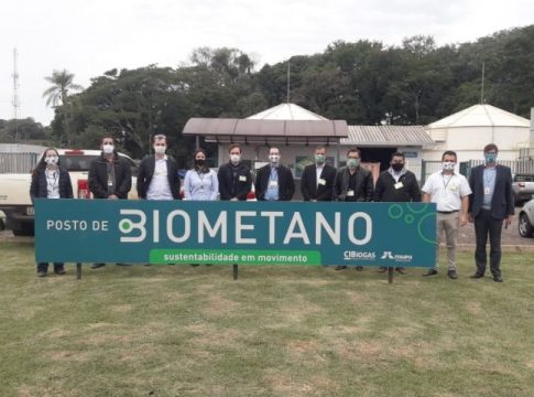 UEMS/Mundo Novo tem projeto de R$ 674 mil aprovado no edital MS Carbono Neutro