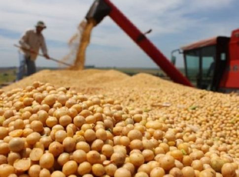 Soja vai demandar frota de 297 mil caminhões para sair das lavouras sul-mato-grossenses
