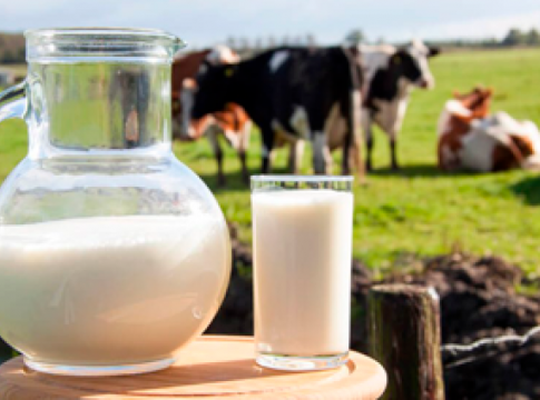 Em 2023, R$ 1,2 milhão será destinado à aquisição de leite de produtores familiares em MS
