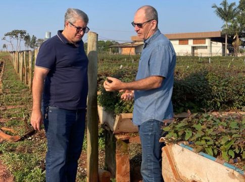 Prefeito Paulão busca empregos para Japorã na empresa de mudas de eucaliptos