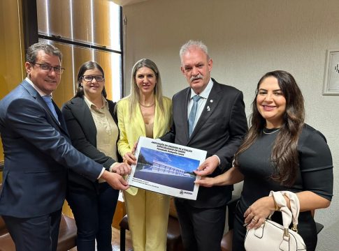 Fabiana e vereadores protocolam projetos em Brasília