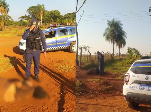 Suspeito de sequestrar e torturar mulher por 5 dias, membro do PCC é disciplina da facção