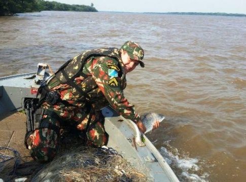 Piracema começa neste domingo e pesca está proibida em rios de Mato Grosso do Sul