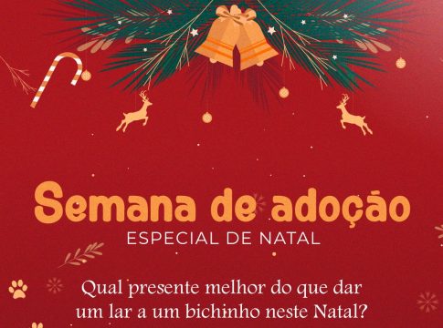 Venha fazer parte da Semana de Adoção, Especial de Natal em Guaíra