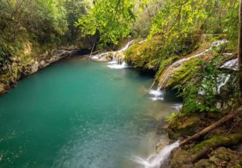 Com Bioparque na lista, entrega de dois parques de MS à iniciativa privada deve destravar em 2024