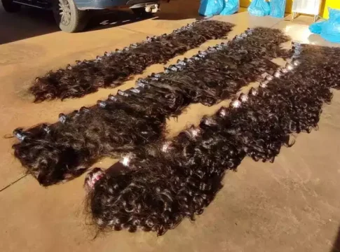 Homem é preso transportando 62 kg de cabelo humano contrabandeado