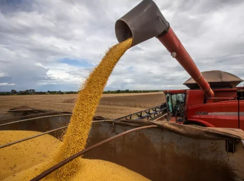 Colheita da soja em MS avança com bom tempo e chega a 213 mil hectares
