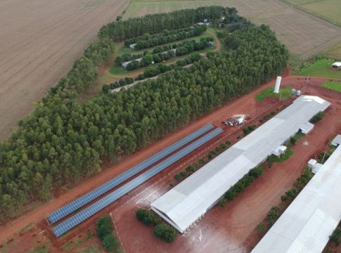 Mundo Novo entra no mapa da avicultura estadual com investimentos de R$ 66 milhões em recursos do FCO