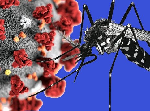 Vacinação contra a covid-19 e contra a dengue são prioridades no UBS Central e ESF Fleck