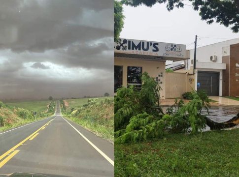 Vendaval no interior e alerta para tempestade anunciam chegada de frente fria a MS