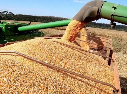 Força do Agro: produção agrícola total do Estado deverá superar os 106,5 milhões de toneladas neste ano