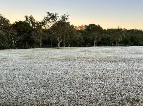 MS registra geada e sensação térmica abaixo de 0ºC