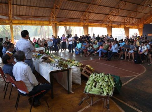 Programa que fomenta produção e assistência aos indígenas em MS é o maior do Brasil