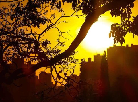 Com onda de calor em Mato Grosso do Sul, cidades terão semana seca e até 5°C mais quente