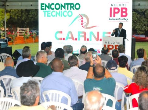 Pecuária sul-mato-grossense busca na genética formas de aumentar a produtividade e qualidade da carne