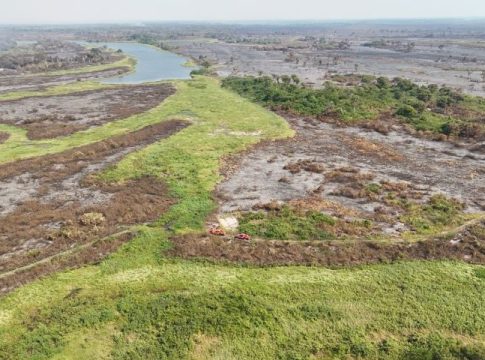 Estiagem: Bombeiros de MS adotam estratégias diversas nas linhas de combate ao fogo